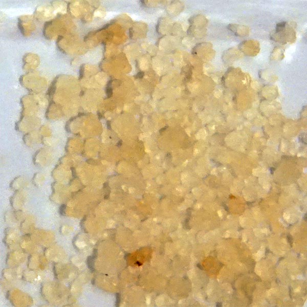 Here you can see how do water kefir grains look like when they are DRIED
