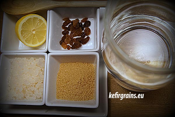 Water kefir ingredients