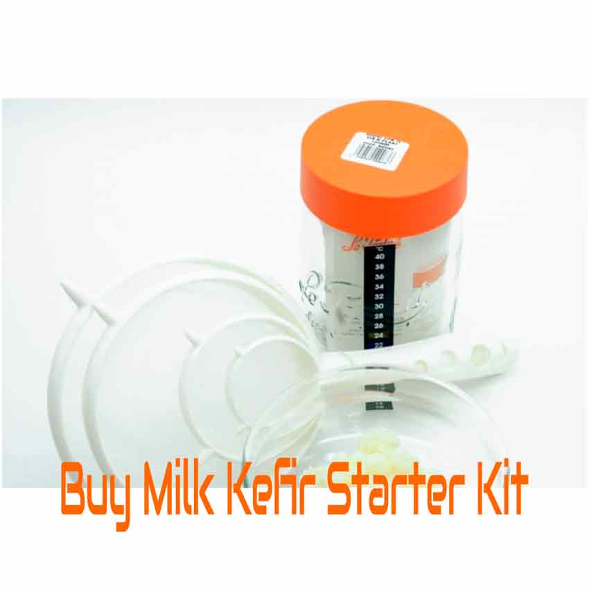 Buy Milk Kefir Starter Kit