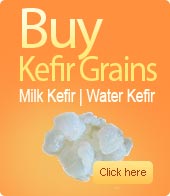 Buy Kefir Grains