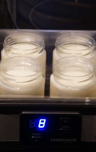 Hoe maak je yoghurt - stap 3
