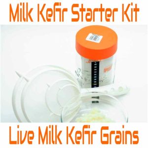 Buy milk kefir grains