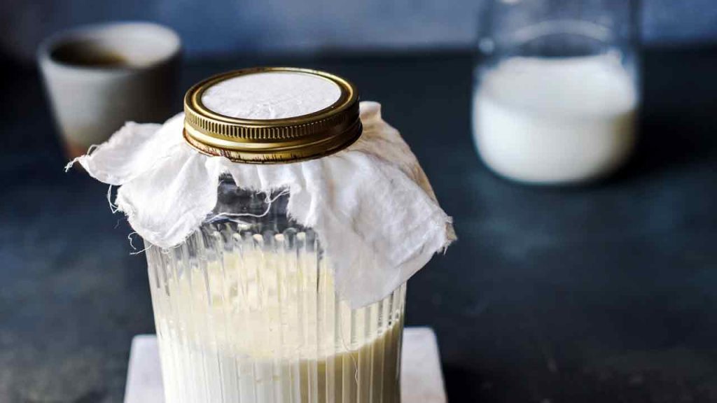 Hoe melkkefir te maken