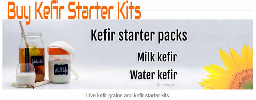 Buy a Kefir Starter Kit