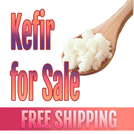 Buy fresh milk kefir grains